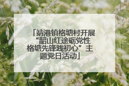 靖港镇格塘村开展“韶山红途砺党性 格塘先锋践初心”主题党日活动