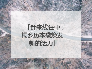 针来线往中，桐乡历本袋焕发新的活力