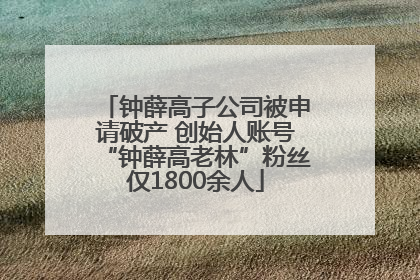 钟薛高子公司被申请破产 创始人账号“钟薛高老林”粉丝仅1800余人