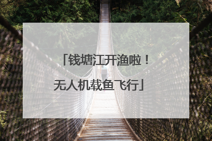 钱塘江开渔啦！无人机载鱼飞行