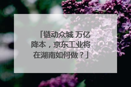 链动众城 万亿降本，京东工业将在湖南如何做？