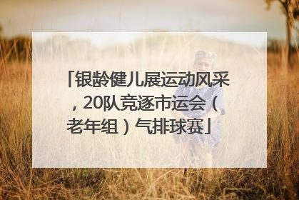 银龄健儿展运动风采，20队竞逐市运会（老年组）气排球赛