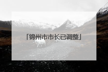 锦州市市长已调整