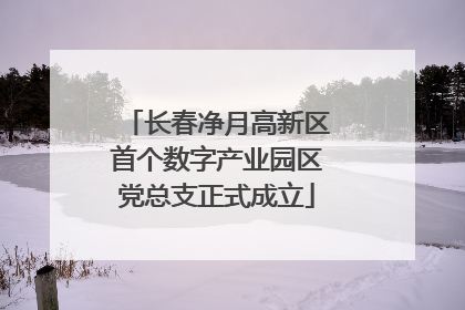 长春净月高新区首个数字产业园区党总支正式成立