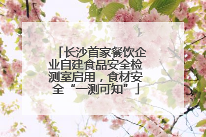 长沙首家餐饮企业自建食品安全检测室启用，食材安全“一测可知”