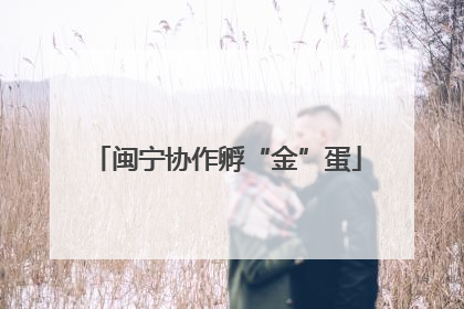 闽宁协作孵“金”蛋