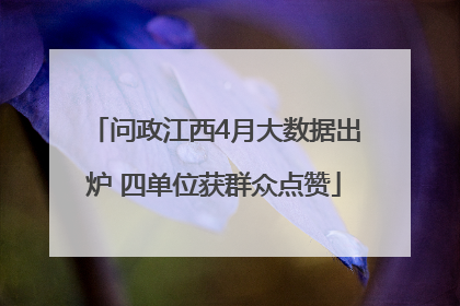 问政江西4月大数据出炉 四单位获群众点赞