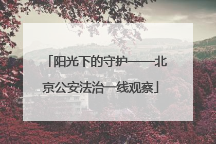 阳光下的守护——北京公安法治一线观察