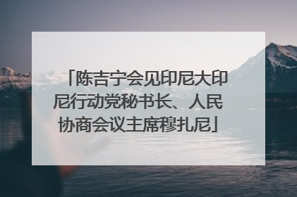 陈吉宁会见印尼大印尼行动党秘书长、人民协商会议主席穆扎尼