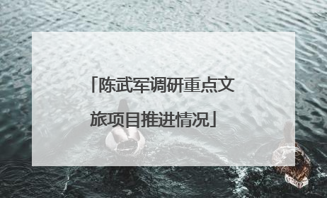 陈武军调研重点文旅项目推进情况
