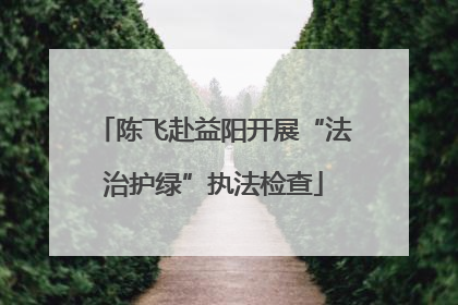陈飞赴益阳开展“法治护绿”执法检查