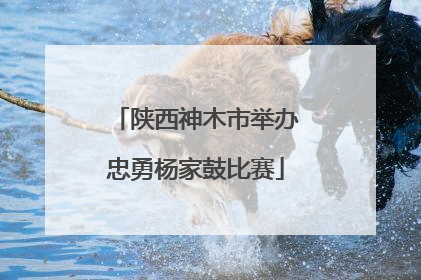 陕西神木市举办忠勇杨家鼓比赛