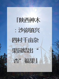 陕西神木：沙峁镇兴四村千亩杂果园结出“杏”福果