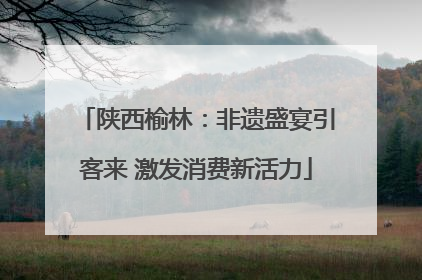 陕西榆林：非遗盛宴引客来 激发消费新活力