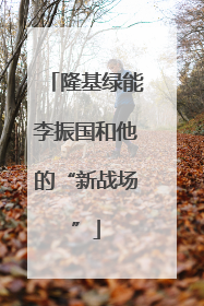 隆基绿能李振国和他的“新战场”