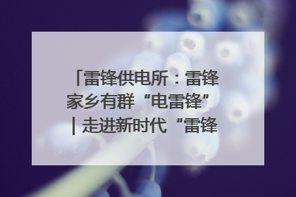 雷锋供电所：雷锋家乡有群“电雷锋”｜走进新时代“雷锋传人 长沙榜样”