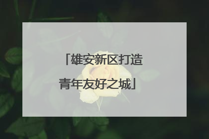雄安新区打造青年友好之城