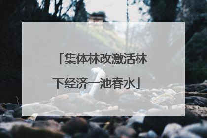 集体林改激活林下经济一池春水
