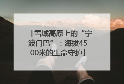 雪域高原上的“宁波门巴”：海拔4500米的生命守护