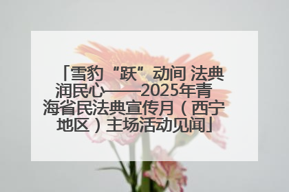 雪豹“跃”动间 法典润民心——2025年青海省民法典宣传月（西宁地区）主场活动见闻