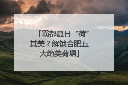 霸都夏日“荷”其美？解锁合肥五大绝美荷塘