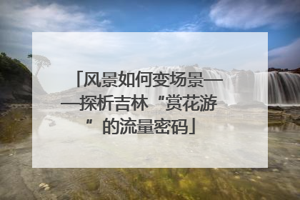 风景如何变场景——探析吉林“赏花游”的流量密码
