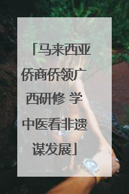 马来西亚侨商侨领广西研修 学中医看非遗谋发展