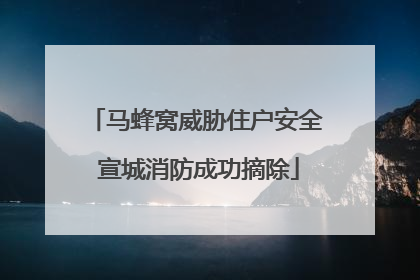 马蜂窝威胁住户安全 宣城消防成功摘除