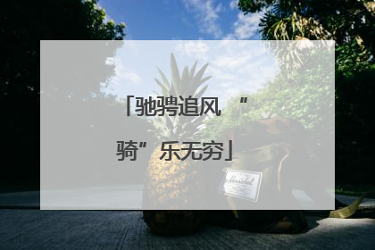 驰骋追风 “骑”乐无穷