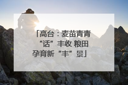 高台：麦苗青青“话”丰收 粮田孕育新“丰”景