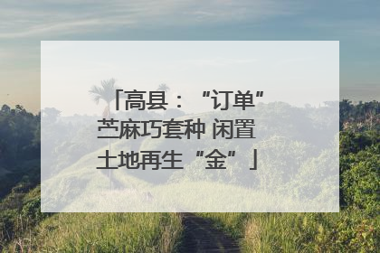 高县：“订单”苎麻巧套种 闲置土地再生“金”