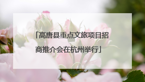 高唐县重点文旅项目招商推介会在杭州举行