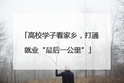 高校学子看家乡，打通就业“最后一公里”