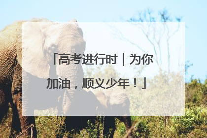 高考进行时｜为你加油，顺义少年！