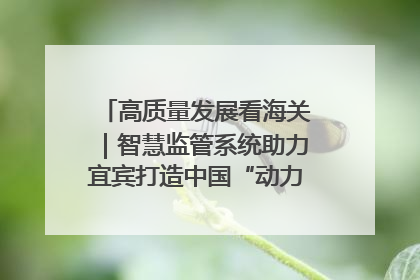 高质量发展看海关｜智慧监管系统助力宜宾打造中国“动力电池之都”