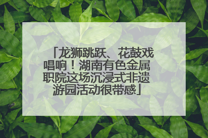 龙狮跳跃、花鼓戏唱响！湖南有色金属职院这场沉浸式非遗游园活动很带感