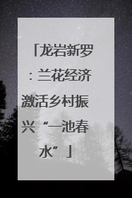 龙岩新罗：兰花经济激活乡村振兴“一池春水”