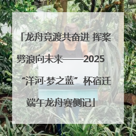 龙舟竞渡共奋进 挥桨劈浪向未来——2025“洋河·梦之蓝”杯宿迁端午龙舟赛侧记