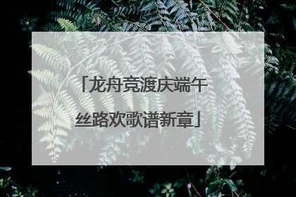 龙舟竞渡庆端午 丝路欢歌谱新章