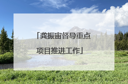 龚振宙督导重点项目推进工作
