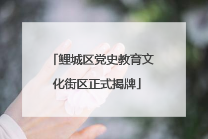 鲤城区党史教育文化街区正式揭牌