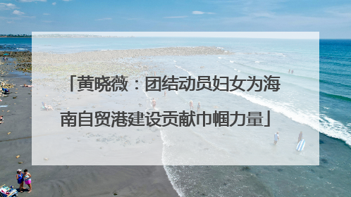 黄晓薇：团结动员妇女为海南自贸港建设贡献巾帼力量