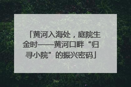 黄河入海处，庭院生金时——黄河口畔“归寻小院”的振兴密码
