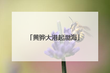 黄骅大港起渤海