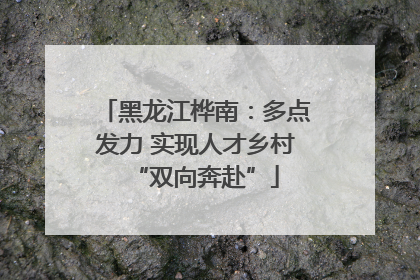 黑龙江桦南：多点发力 实现人才乡村“双向奔赴”