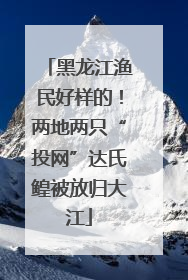 黑龙江渔民好样的！两地两只“投网”达氏鳇被放归大江