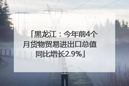 黑龙江：今年前4个月货物贸易进出口总值同比增长2.9%