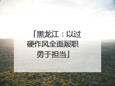 黑龙江：以过硬作风全面履职勇于担当