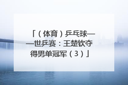 （体育）乒乓球——世乒赛：王楚钦夺得男单冠军（3）