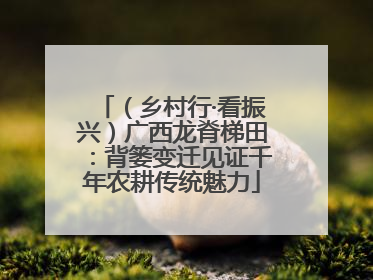 （乡村行·看振兴）广西龙脊梯田：背篓变迁见证千年农耕传统魅力